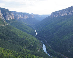 Les Vignes à Le Rozier